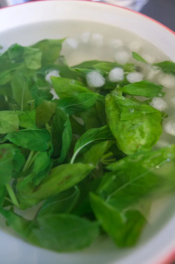 Some basil leaves blanch in a bath of iced water. 