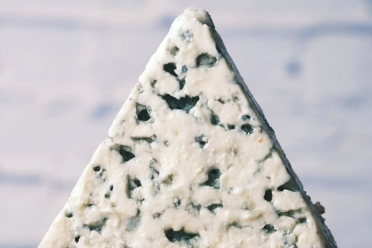 a large wedge of gorgonzola cheese.