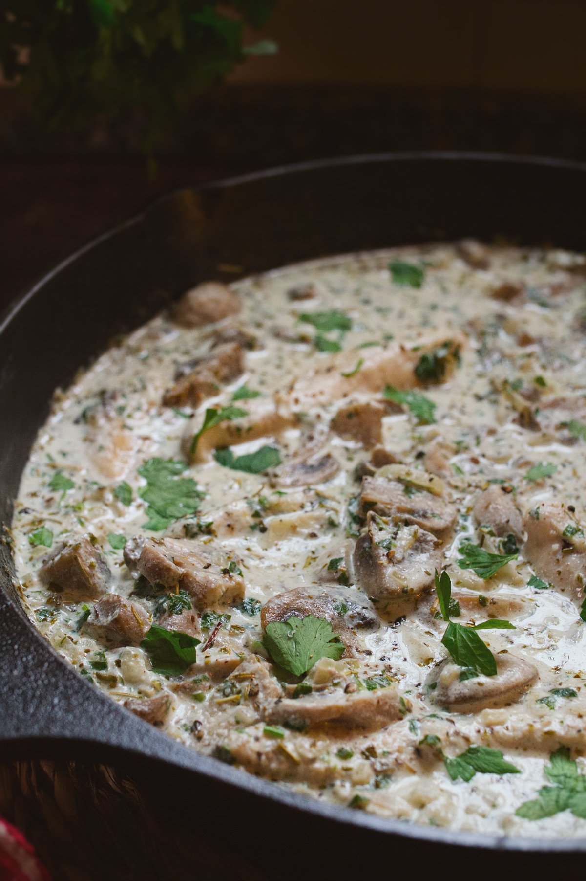 a large pan of creamy mushroom chicken