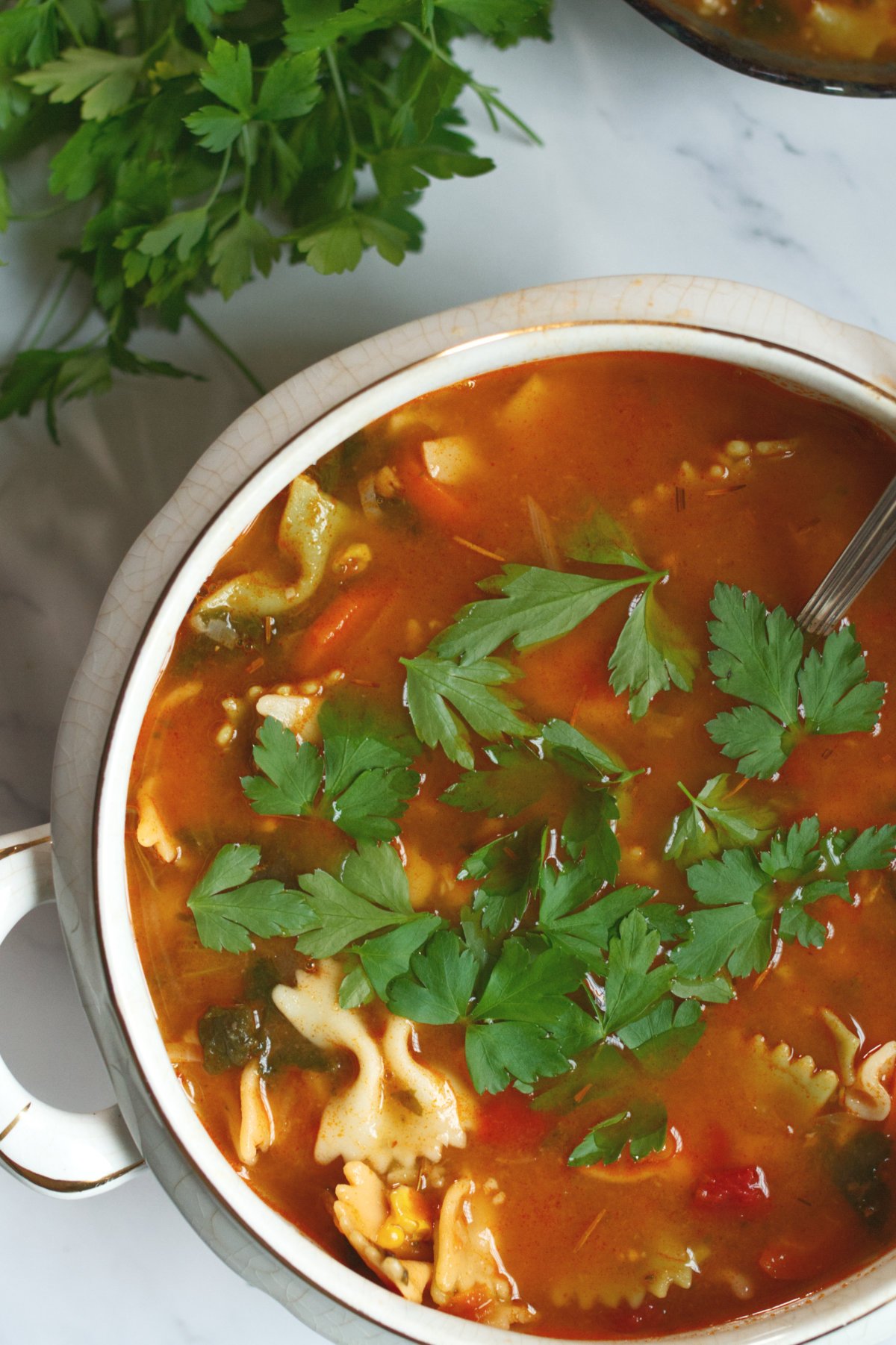 A large bowl of italian pasta soup