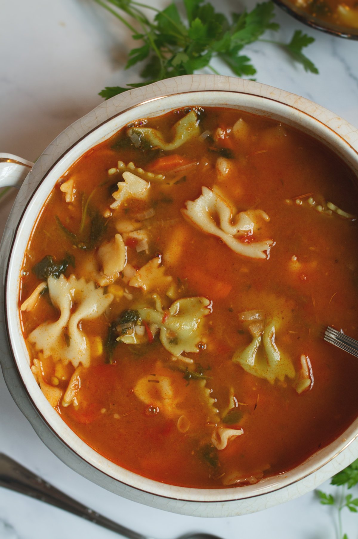 A large bowl of italian pasta soup