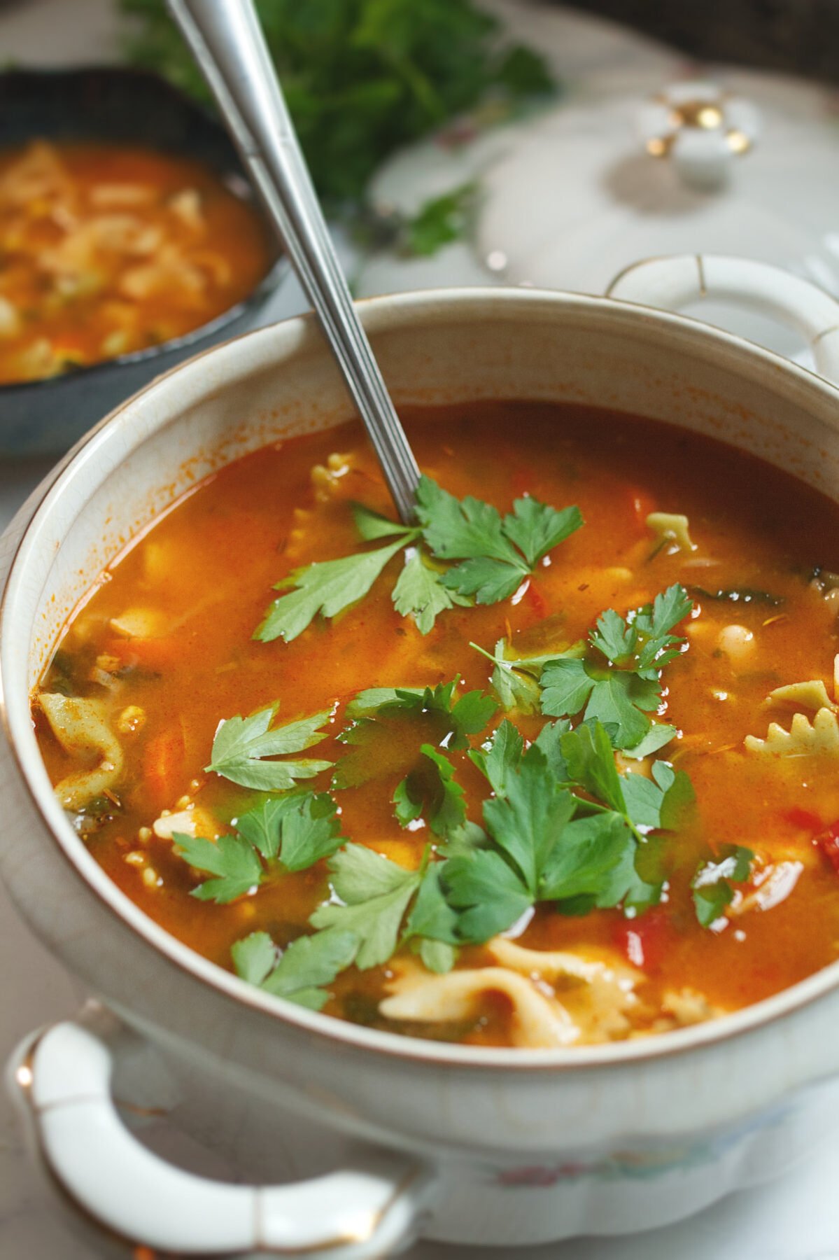 A large bowl of italian pasta soup