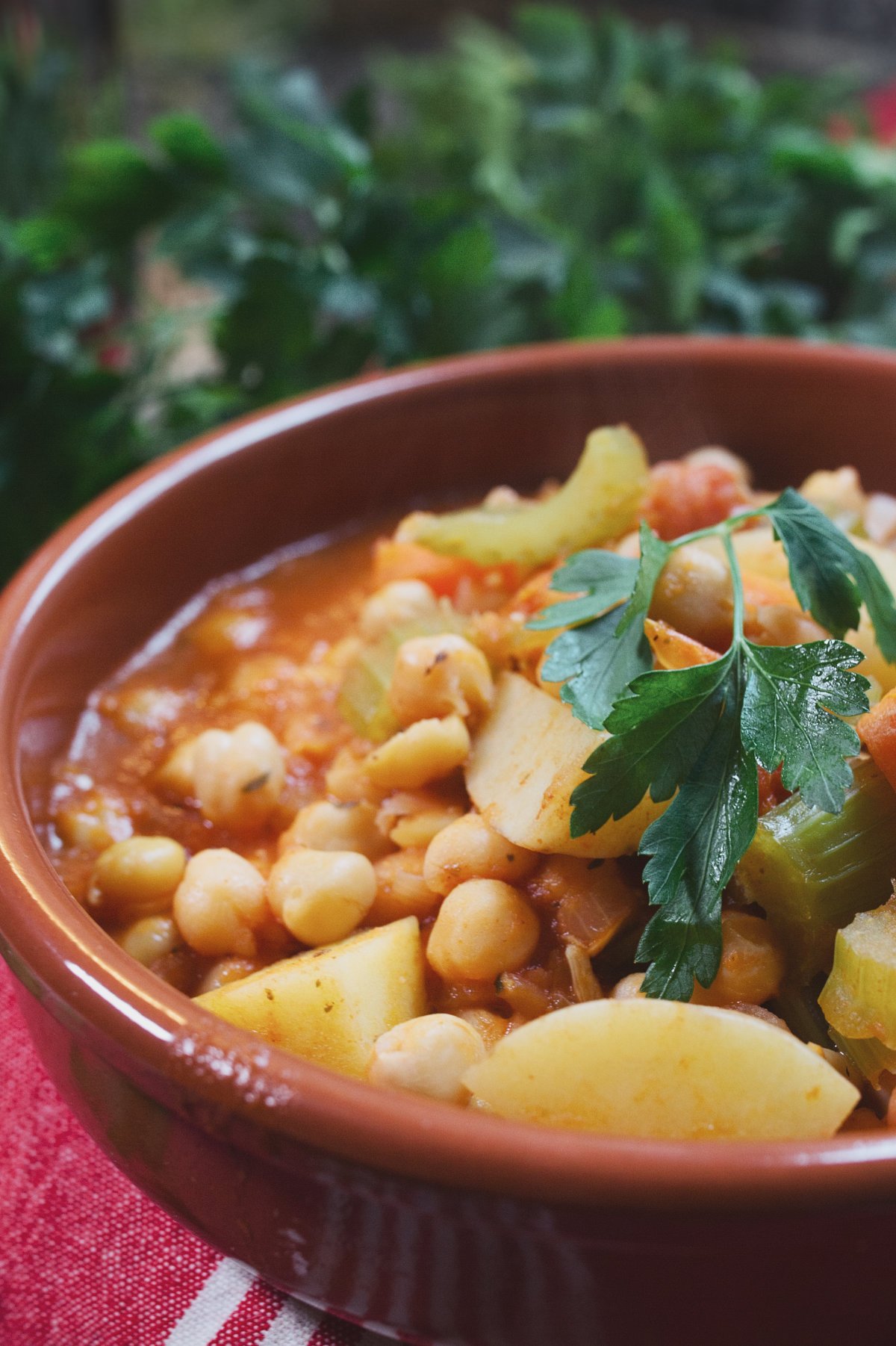 A bowl of Mediterranean Chickpea Stew