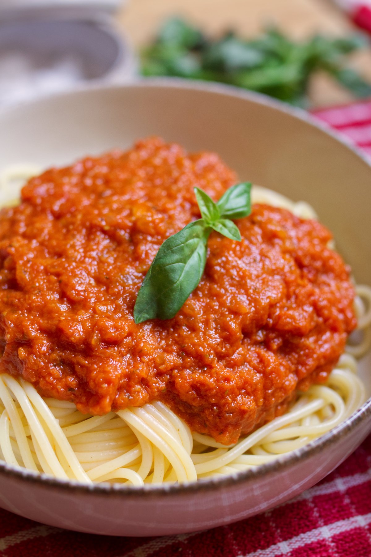 A bowl of Spaghetti with marinara sauce