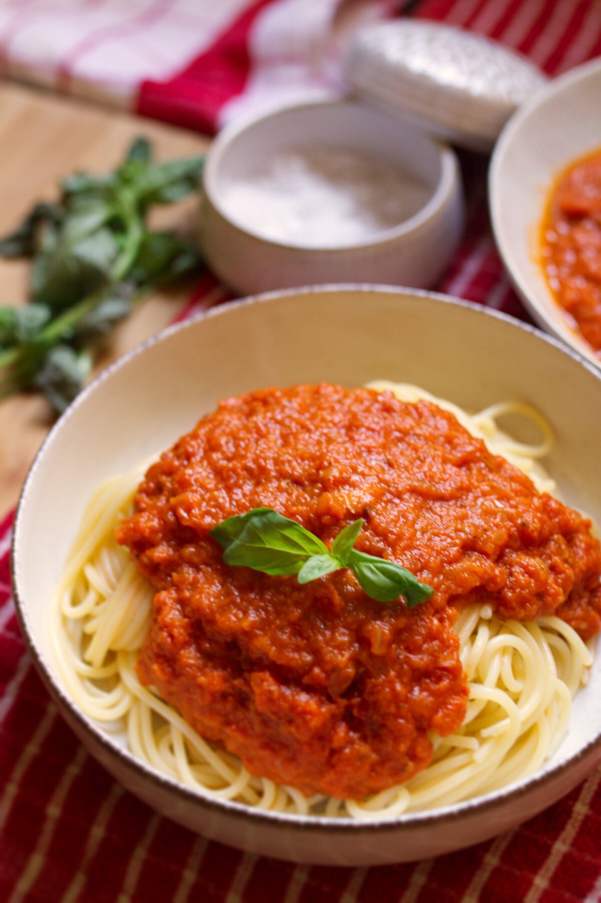 A bowl of Spaghetti with marinara sauce