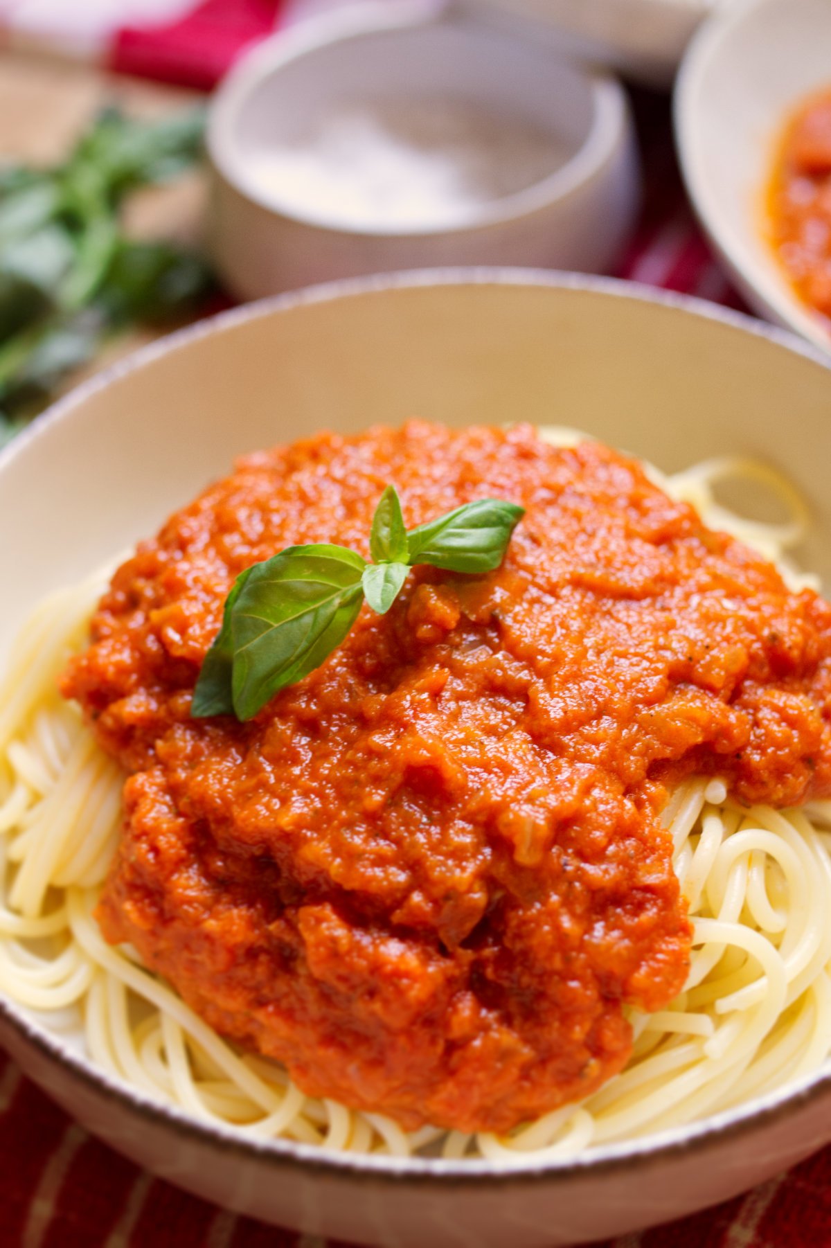 A bowl of Spaghetti with marinara sauce